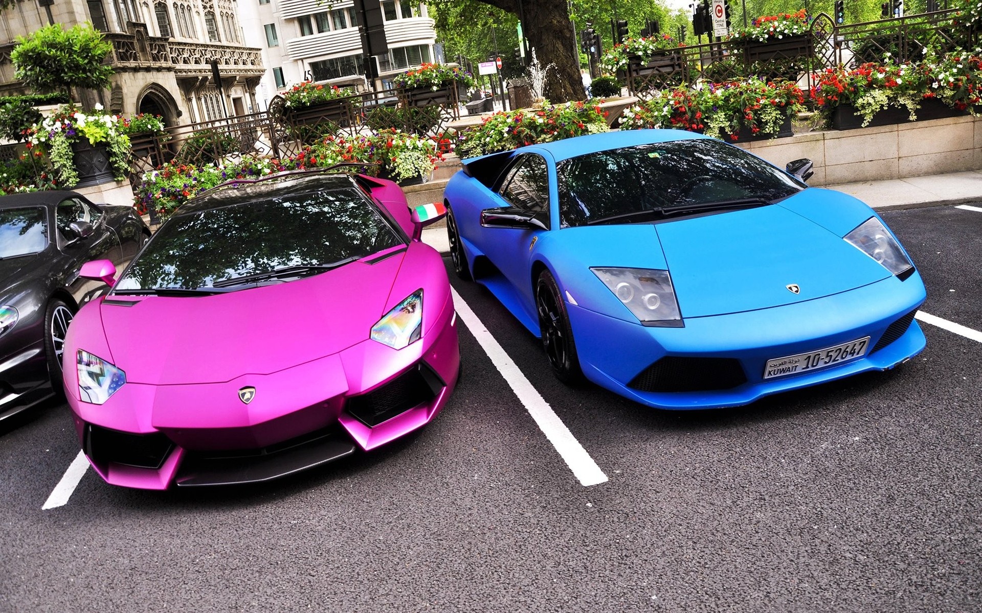 lamborghini автомобиль автомобиль роскошные автомобильная транспортная система тротуар дорога быстро диск показать капот кабриолет